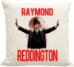 printfashion RAYMOND REDDINGTON - Párnahuzat, Díszpárnahuzat - Lenvászon (2705344)