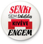 printfashion Senki sem tökéletes - Kitűző, hűtőmágnes - Fehér (7798947)