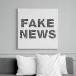 printfashion FAKE NEWS - Vászonkép - Fehér (10210723)