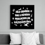 printfashion Zöld erdőben sok a páfrány - Vászonkép - Fekete (15754292)