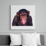 printfashion Funny Chimpanzee - Vászonkép - Fehér (6625476)