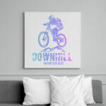 printfashion downhill - Vászonkép - Fehér (6634267)