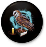 printfashion magic owl - Kitűző, hűtőmágnes - Fekete (3098578)