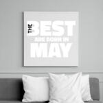 printfashion The Best are born in may - Vászonkép - Fehér (6638226)