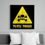 printfashion Halálos veszély - Vászonkép - Fekete (6649863)