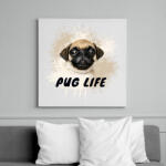 printfashion pug life - Vászonkép - Fehér (6627209)