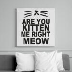 printfashion Cicózol velem? meoww - Vászonkép - Fehér (6630197)