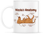 printfashion Vizsla anatómia - Bögre - Fehér (7530747)