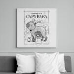 printfashion Capybara anatómia - Vászonkép - Fehér (13607053)