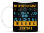 printfashion Meteorologist the only job - Bögre - Fekete (7441884)