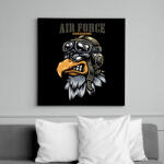 printfashion Air Force - Vászonkép - Fekete (6650088)
