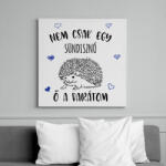 printfashion Nem csak egy sündisznó - Vászonkép - Fehér (7093923)