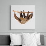 printfashion Lajhár - Vászonkép - Fehér (6627728)