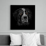 printfashion Berni pásztorkutya portré - Vászonkép - Fekete (7060952)