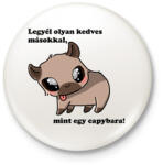 printfashion legyél olyan kedves másokkal, mint egy capybara - Kitűző, hűtőmágnes - Fehér (14653020)