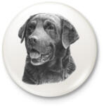 printfashion Labrador - Kitűző, hűtőmágnes - Fehér (3082685)