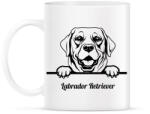 printfashion Labrador Retriver - Bögre - Fehér (5120295)