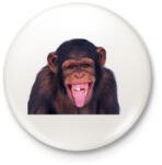 printfashion Funny Chimpanzee - Kitűző, hűtőmágnes - Fehér (3079110)