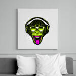 printfashion Funky majom - Vászonkép - Fehér (6620432)