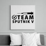 printfashion Team Sputnik V - Vászonkép - Fehér (6636574)