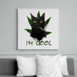 printfashion IM COOL - Vászonkép - Fehér (6627849)