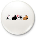 printfashion Francia bulldog kiskutyák - Kitűző, hűtőmágnes - Fehér (3078922)