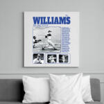 printfashion Ted Williams - baseball - Vászonkép - Fehér (15817196)