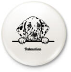 printfashion Dalmata - Kitűző, hűtőmágnes - Fehér (5117109)