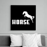 printfashion HORSE (Puma stílus) - Vászonkép - Fekete (6653883)