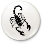 printfashion Skorpió - Kitűző, hűtőmágnes - Fehér (5270413)