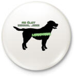 printfashion Labrador - Kitűző, hűtőmágnes - Fehér (13986361)