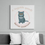printfashion A legjobb gazdi - British shorthair - Vászonkép - Fehér (6640747)
