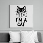 printfashion Meow, I'm a cat - Vászonkép - Fehér (6634918)