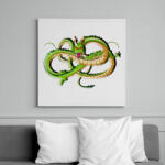 printfashion dragon ball - Vászonkép - Fehér (6634586)