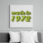 printfashion made-in-1972-green-grey - Vászonkép - Fehér (6622656)