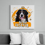 printfashion Berni pásztor firka - Vászonkép - Fehér (11852073)
