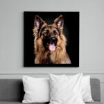 printfashion Német juhász - Vászonkép - Fekete (12537840)