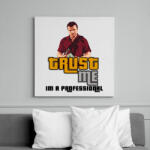 printfashion TRUST ME IM A PROFESSIONAL - Vászonkép - Fehér (6629149)