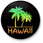 printfashion Hawaii - Kitűző, hűtőmágnes - Fekete (5011418)