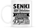 printfashion A Ladások tökéletesek - Bögre - Fehér (1066517)