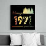 printfashion 1971 - Vászonkép - Fekete (12612423)