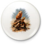 printfashion Capybara teknős háton - Kitűző, hűtőmágnes - Fehér (13996871)