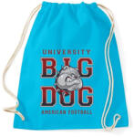 printfashion Nagy kutya - Sportzsák, Tornazsák - Surf blue (168822)