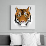 printfashion Macska - Vászonkép - Fehér (6637399)