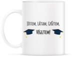 printfashion Jöttem, láttam, győztem, végeztem! - Bögre - Fehér (6336747)