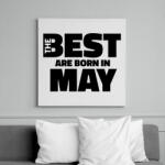 printfashion The Best are born in may - Vászonkép - Fehér (6638214)