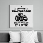 printfashion A legjobb traktorosok márciusban születnek - Vászonkép - Fehér (15788949)