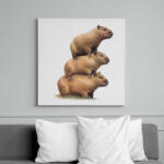 printfashion Capybara kupac - Vászonkép - Fehér (13992317)