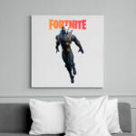 printfashion Omega Fortnite - Vászonkép - Fehér (6631180)