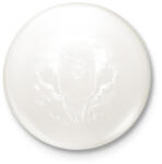 printfashion Oroszlán - Kitűző, hűtőmágnes - Fehér (13369828)